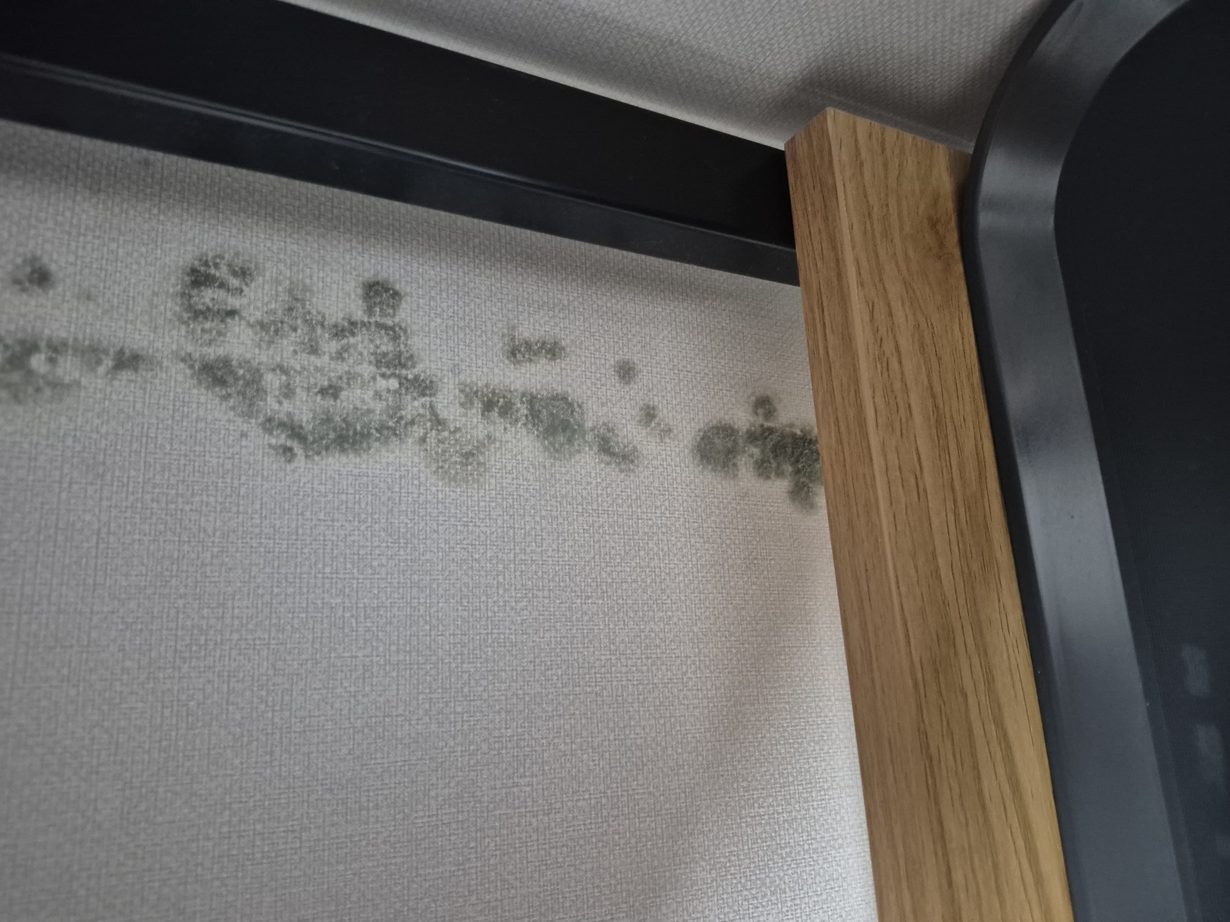 mold sample 1